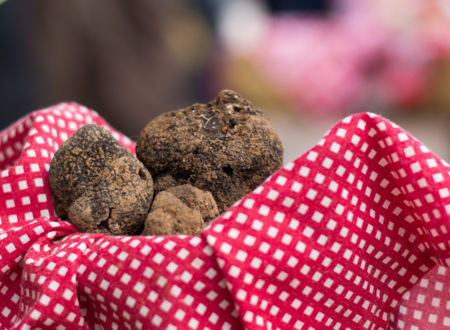 Balades commentées autour de la truffe 