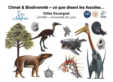 Les animaux du passé dans le Quercy - Atelier tri de fossiles et conférence 