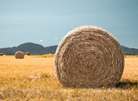 Balade découverte Fermes ouvertes 