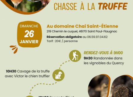 Marchez au cœur des vignes et partez à la chasse à la truffe 