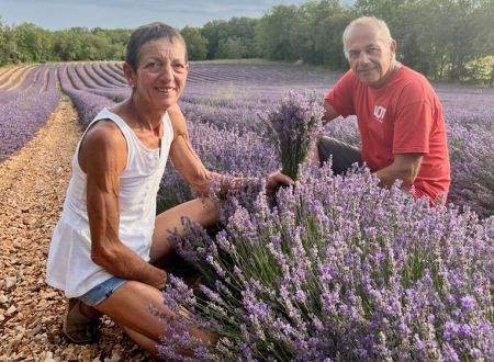 Le Lot de ferme en ferme : Les Senteurs de Roumégouse - Lentillc-du-Causse 