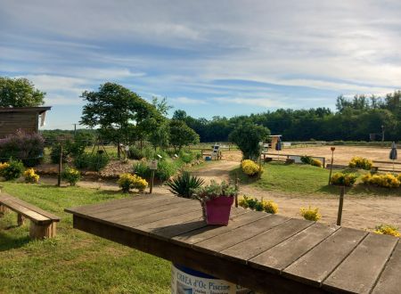 Marché nocturne à Roquemeyrine 