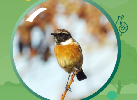 Exposition : « Nos chemins se rencontrèrent… » 