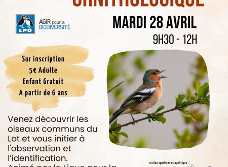 Balade ornithologique au 3ème Lieu 