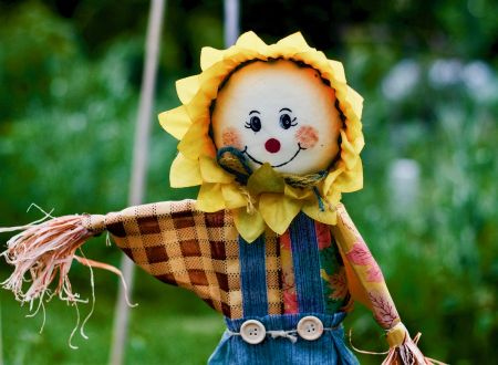 Le Lot de ferme en ferme : Les producteurs en herbes 