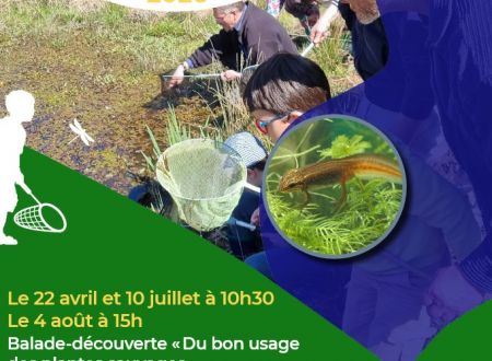 Balade-découverte 