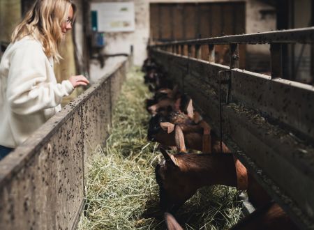 Dor'Lot Emerveille : Visite à la Ferme La Borie d'Imbert 