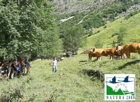 Patrimoine en visite : visite et rencontre pastorale avec un éleveur à Héas en site Natura 2000 