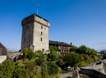 Visites guidées 