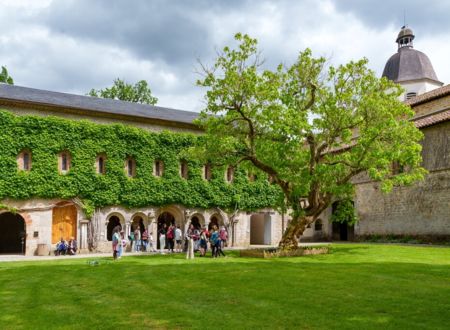 Visite Conférence : Les Beaux Dimanches - Au chevet d'une Abbaye Cistercienne 