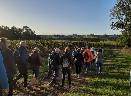 Madi'Rando de Printemps 