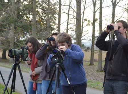 Observation des oiseaux au lac de Puydarrieux 