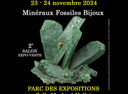 Salon Minéraux Fossiles Bijoux 