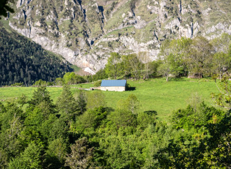 La Hourquette d'Ancizan : Randonnée culturelle autour du Pastoralisme 