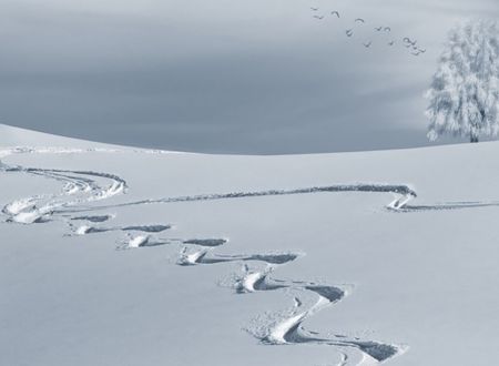 Premières traces 