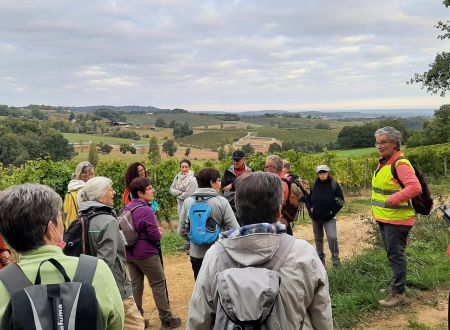 Randonnée accompagnée 