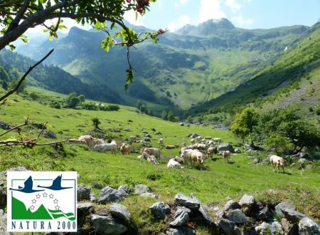 Sortie Natura 2000 : 