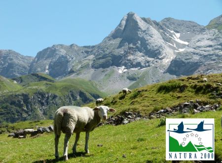Sortie Natura 2000 : 