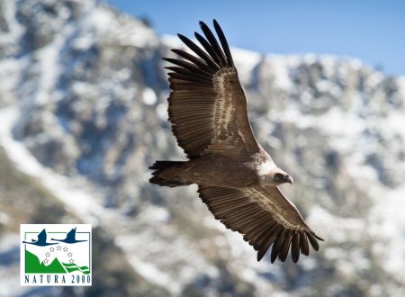 Sortie Natura 2000 : 