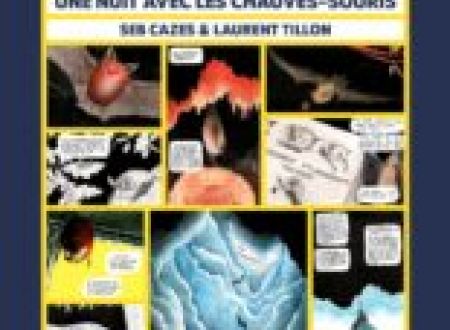 Exposition Une nuit avec les chauves-souris 