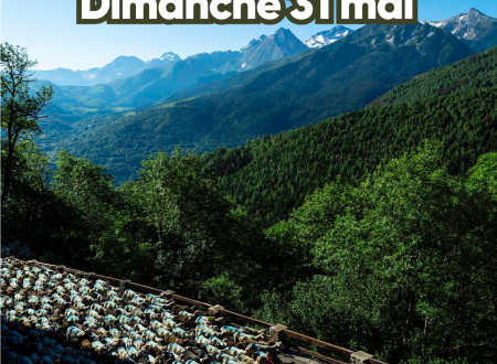 Transhumance de Soulan 