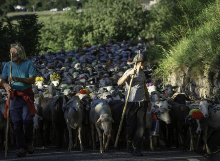 Transhumance de Sailhan 