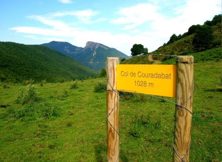 Balade découverte : Créative dans les Baronnies 