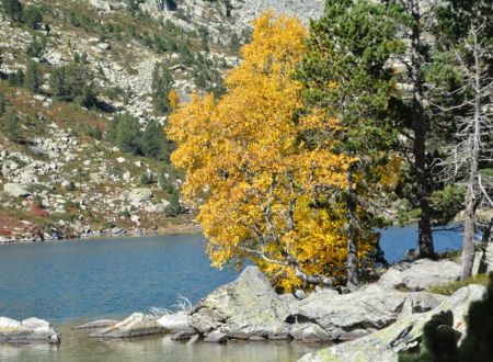 A la découverte de Pandito, l’arbre aux 250 troncs 