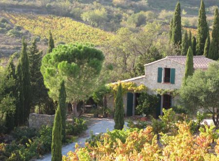 GITE AU MILIEU DES VIGNES 