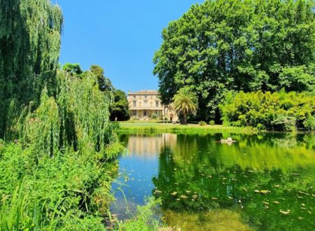 L'ANGE AU VIOLON - LE STUDIO 