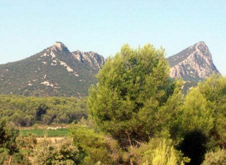 SAINT-MATHIEU-DE-TRÉVIERS : LOCATION POUR 2 PERSONNES AU PIED DU PIC SAINT LOUP 