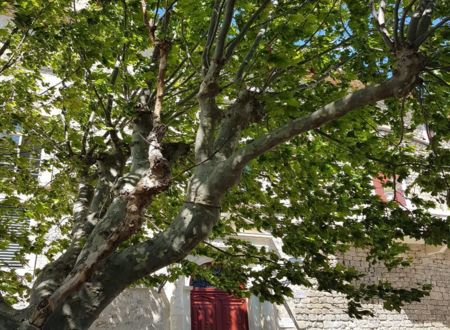 APPARTEMENT MURVIEL-LÈS-BÉZIERS DANS LES REMPARTS TOUT CONFORT 