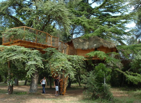 LES CABANES DE L'ARBOUSIER - CABANE CRECERELLE 