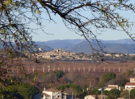 CHAMBRE D'HÔTES LES AMANDIERS 