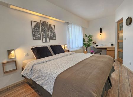 DOMAINE À L'AISE - LAVANDE 