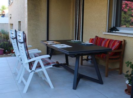 LES 1000 VIGNES - LES 1000 VIGNES 