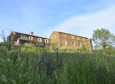 LOU REY ÉCO-HAMEAU 