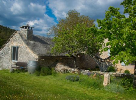 LA TARENTE DU CAUSSE 