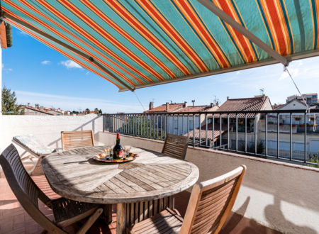 APPARTEMENT COQUET AVEC GRANDE TERRASSE ET PARKING 