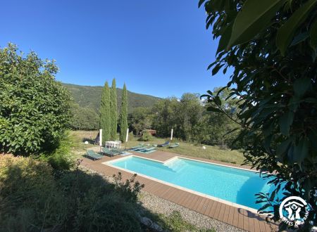 LES DEUX SOURCES - AGAPANTHE 