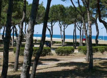 ARGELÈS-PLAGE 