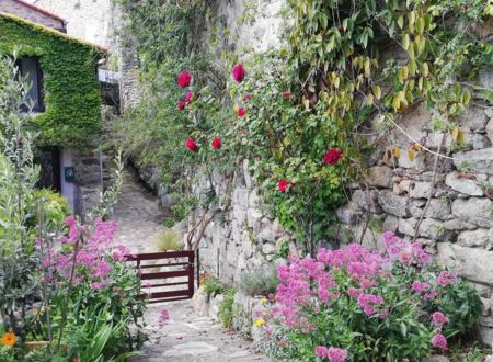 GÎTE LES CALENDULAS 