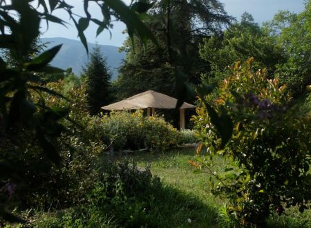 LE CHANT DES OISEAUX 