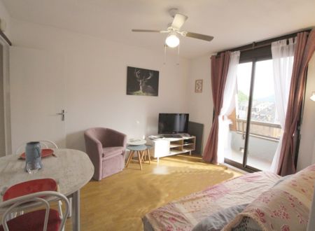 T2 - BALCON - PARKING -WIFI - PIED TELECABINE - TERRASSES D'ETIGNY - TE568 