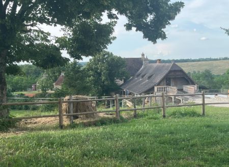 La Ferme de la Truffe - Chambres d'hôtes 