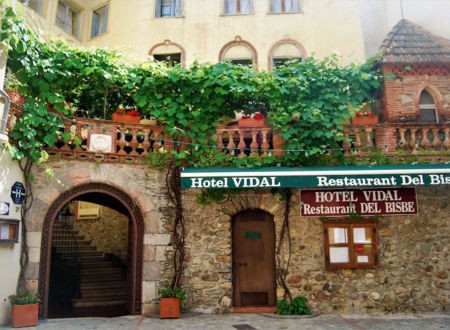HOTEL VIDAL 