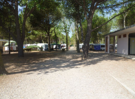 CAMPING FAMILIAL LES MURIERS 