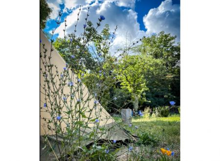 REWIND GARDEN — JARDIN SAUVAGE & GLAMPING D’ÉTÉ 