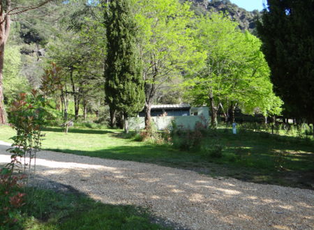 CAMPING LE MARTINET 