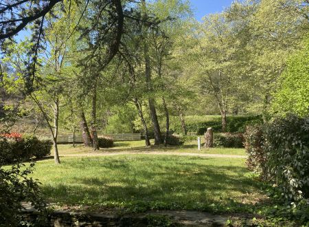 SEVEN CAMP - LE MARTINET 